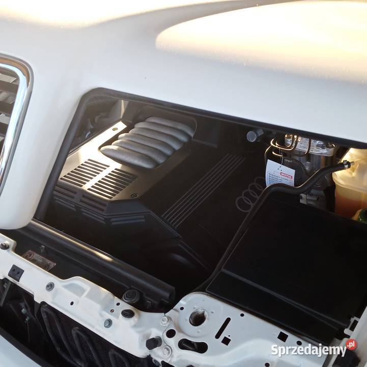 Audi 80 B4 Cabrio Uszczelka lampy maski Uszczelki Dębica