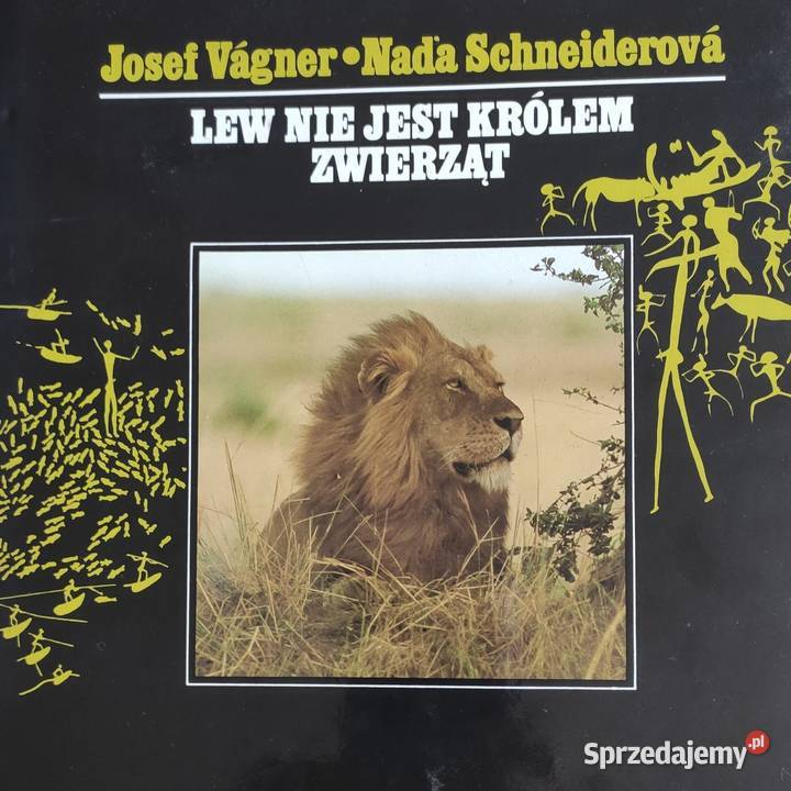 Album Lew nie jest królem zwierząt Gdańsk