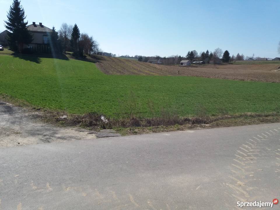 Gospodarstwo rolne 375 HA CHŁOPKÓW GM FRAMPOL lubelskie Chłopków