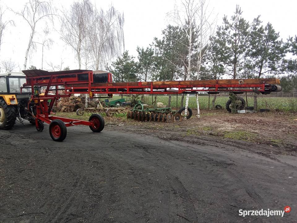 Pryzmownik taśmociąg do warzyw Ostrowąs