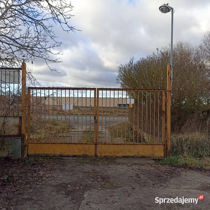 Plac do wynajęcia powierzchnia 500m2 do 1550m2 1550m2 Szczecin