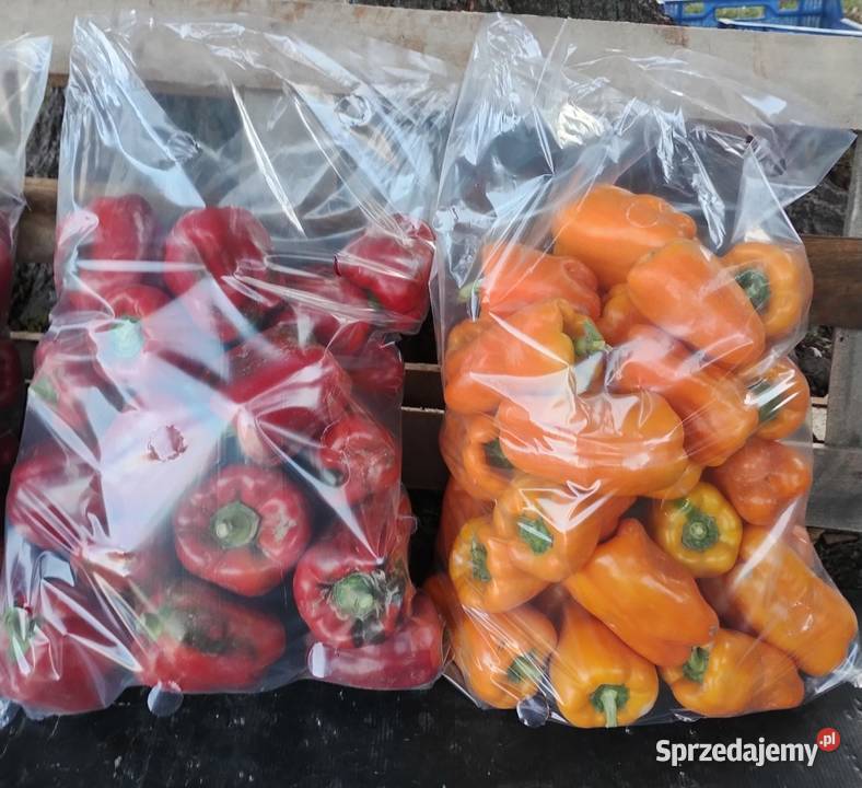 Papryka gruntowa czerwona i żółta lubelskie Nałęczów