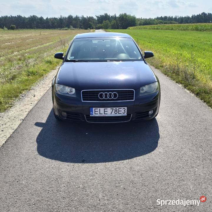 Sprzedam Audi A3 8P Diesel 19 TDI BKC 105 2003 r A3 Łódź