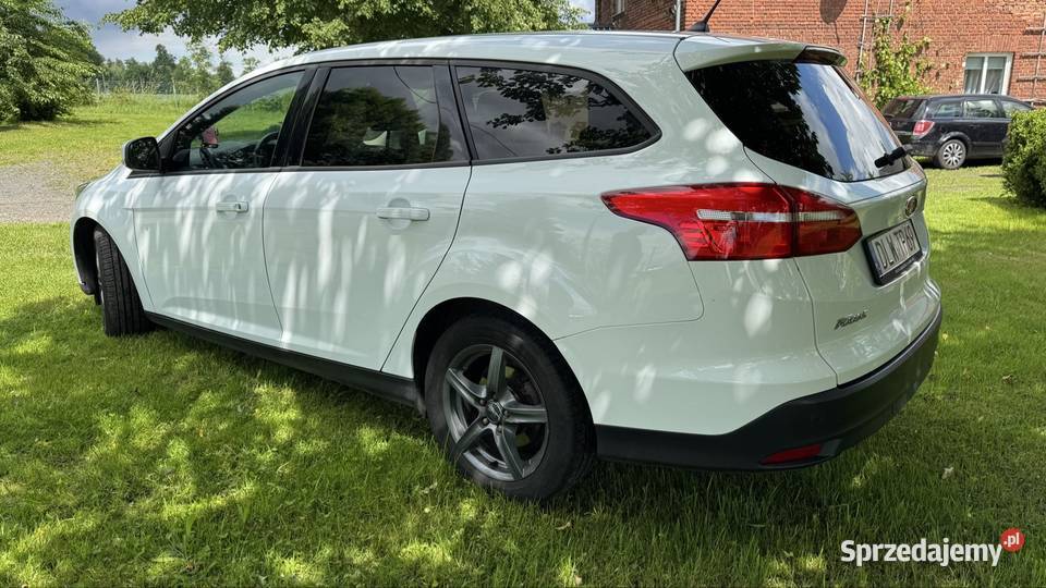 Ford focus Gryfów Śląski