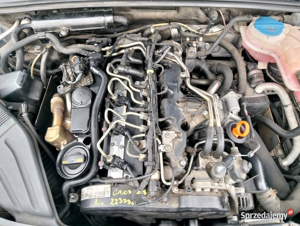 Seat exeo st sport 20tdi 170 Rok produkcji 2010