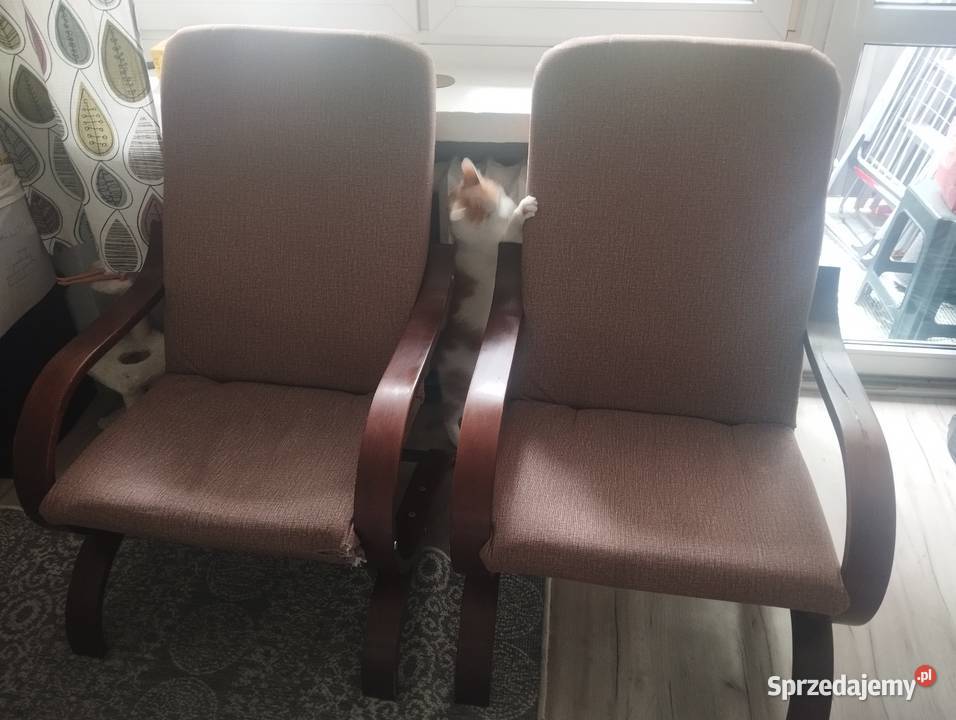 Fotele Finka Lublin