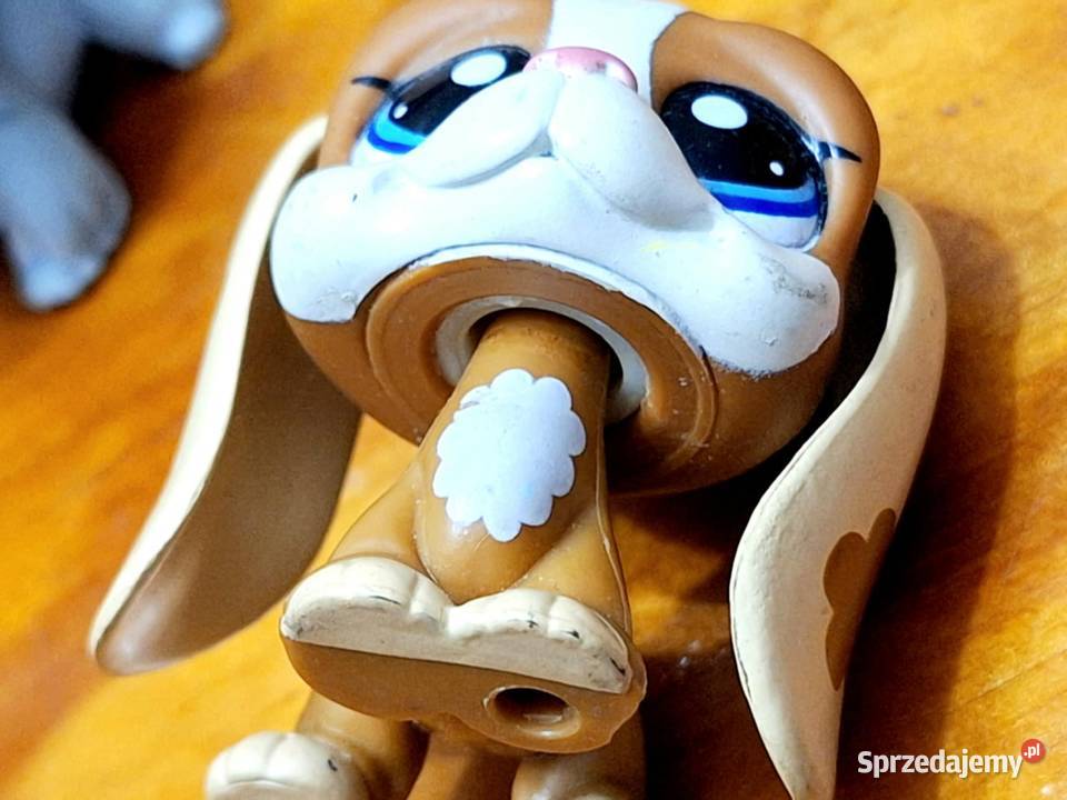 Pies basset plamki Littlest Pet Shop 2 lata+ Braniewo