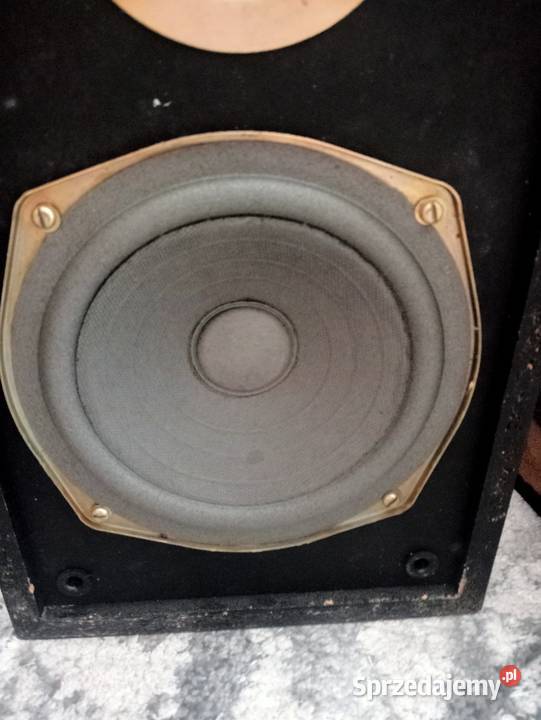 Amator 2kolumny Tonsil śląskie Częstochowa