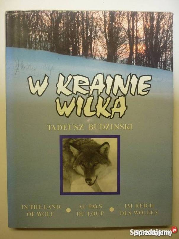 W KRAINIE WILKA BUDZIŃSKI TADEUSZ Białystok