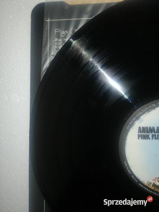 Pink Floyd Animals 1Print Jelenia Góra sprzedam