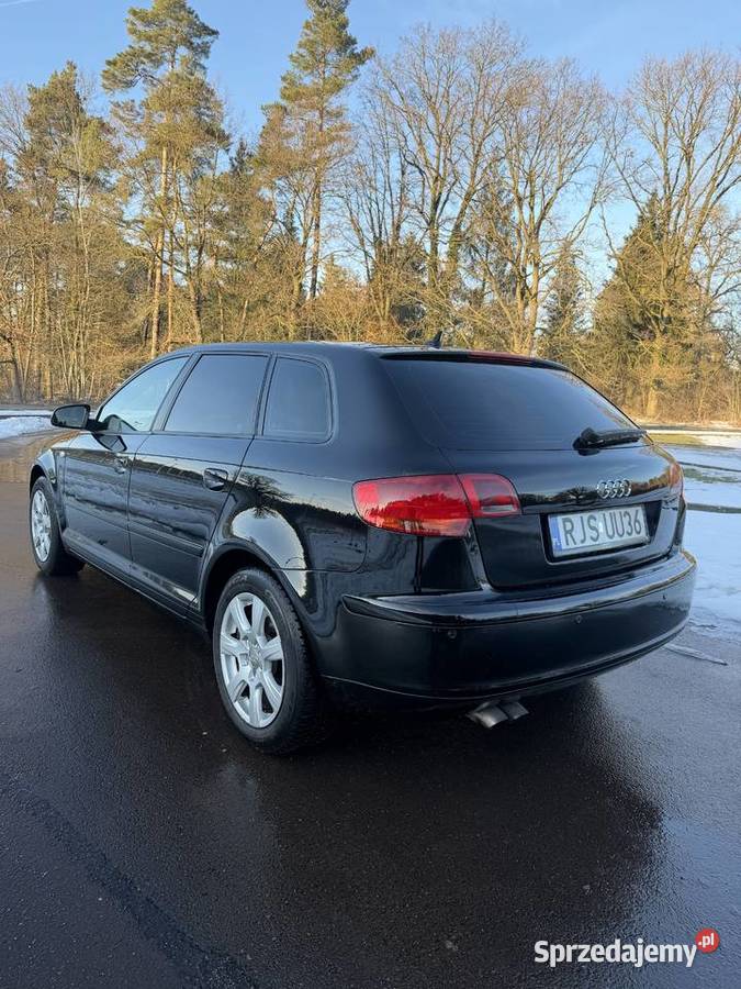 Audi A3 8P 19 TDI 105 2007r ESP Jasło