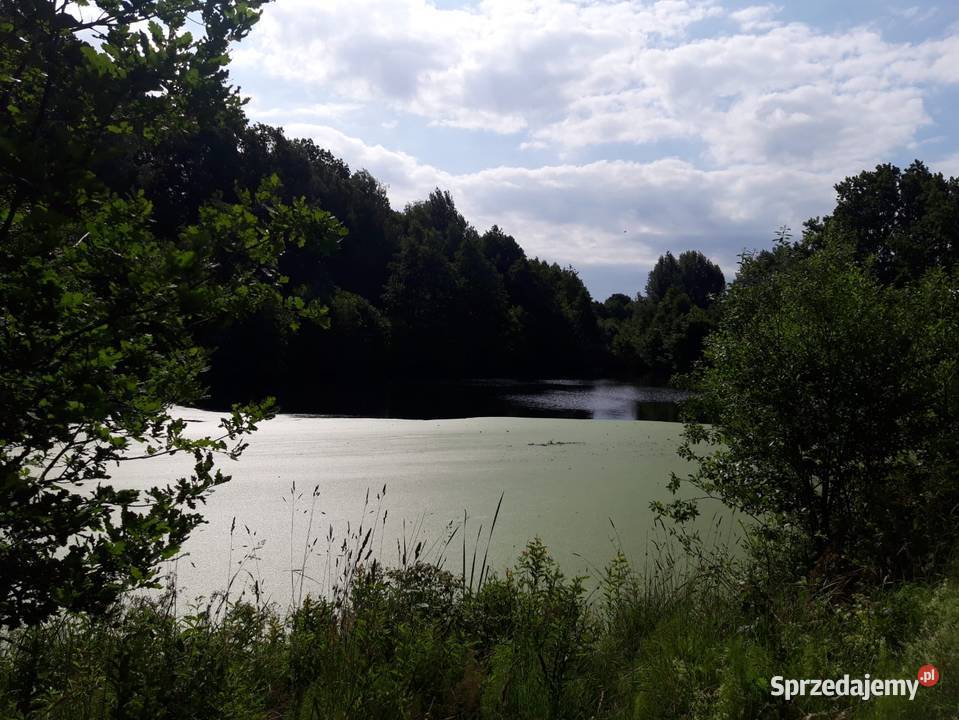 Działka budowlana z dostępem do jeziorka Czarnkowie