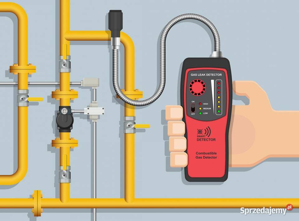 Detekcja Gazu Gazex PPOŻ Wisła Heat King Instalacje gazowe Wykonanie instalacji