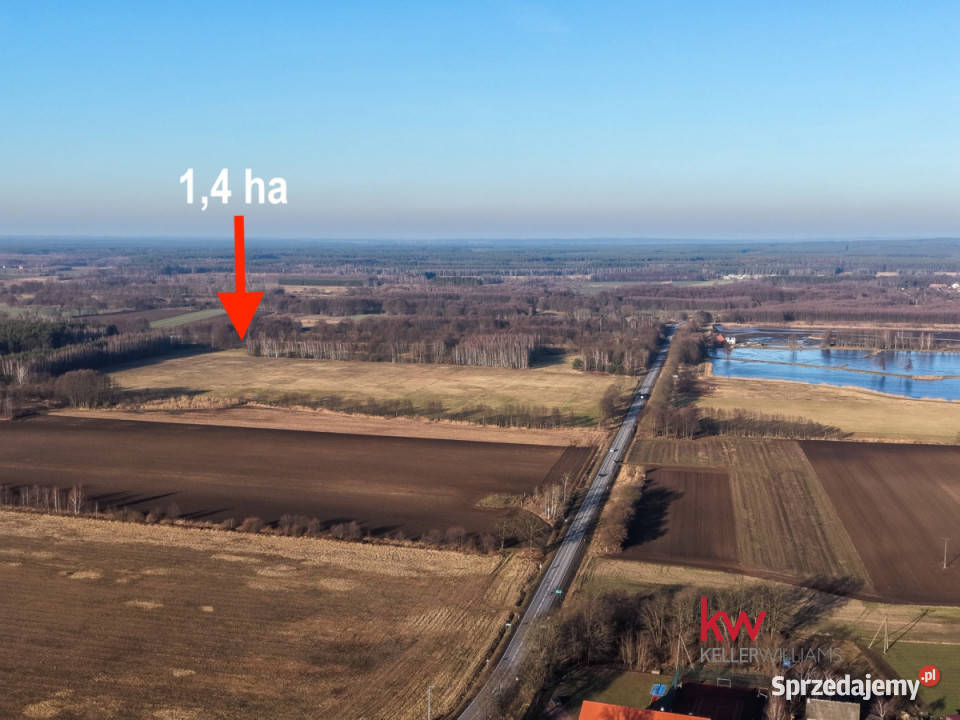 Sprzedam działka 13900m2 Kuźniczysko