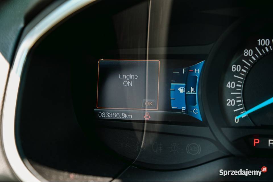 Ford Edge 20 BiTurbo 245 AWD Powershift Full automatyczna małopolskie Krużlowa Wyżna