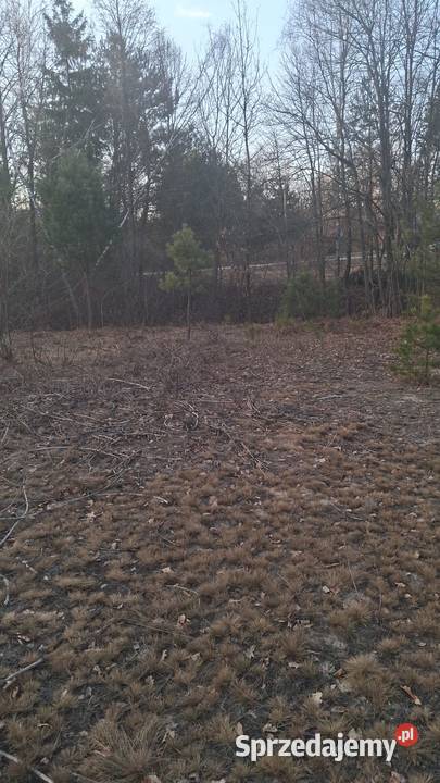 Sprzedam działkę rekreacyjną Karolówka