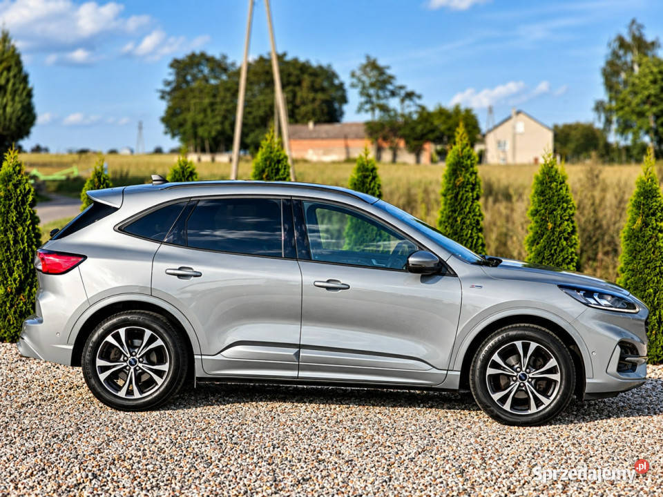 Ford Kuga III 2019 4/5 Sadlno