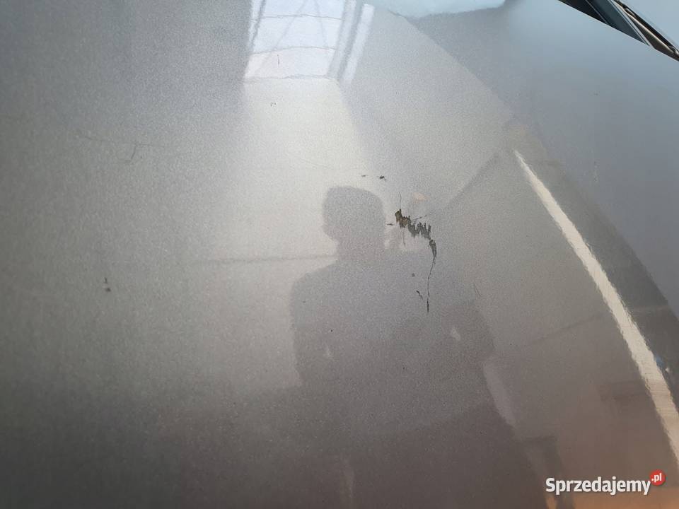 DRZWI PRAWY PRZÓD Subaru Forester III SH lubelskie Chełm sprzedam