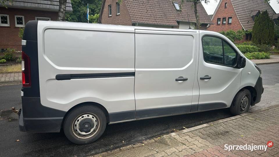 Vivaro 16 Mogilno