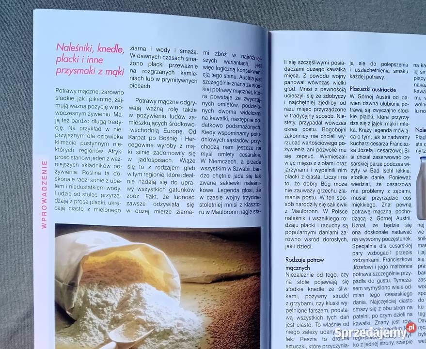 Wyśmienite placki naleśniki gofry Pr zbiorowa Antykwariat Koźminek