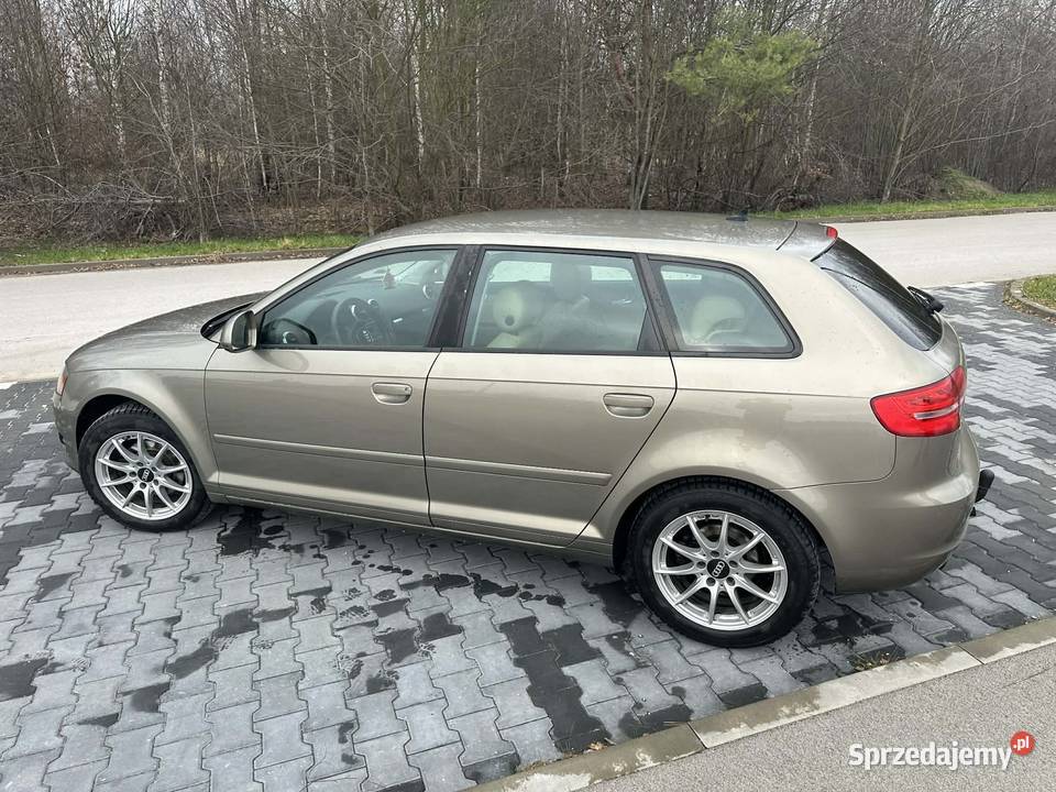 Audi a3 8P 19 TDI Prażmów