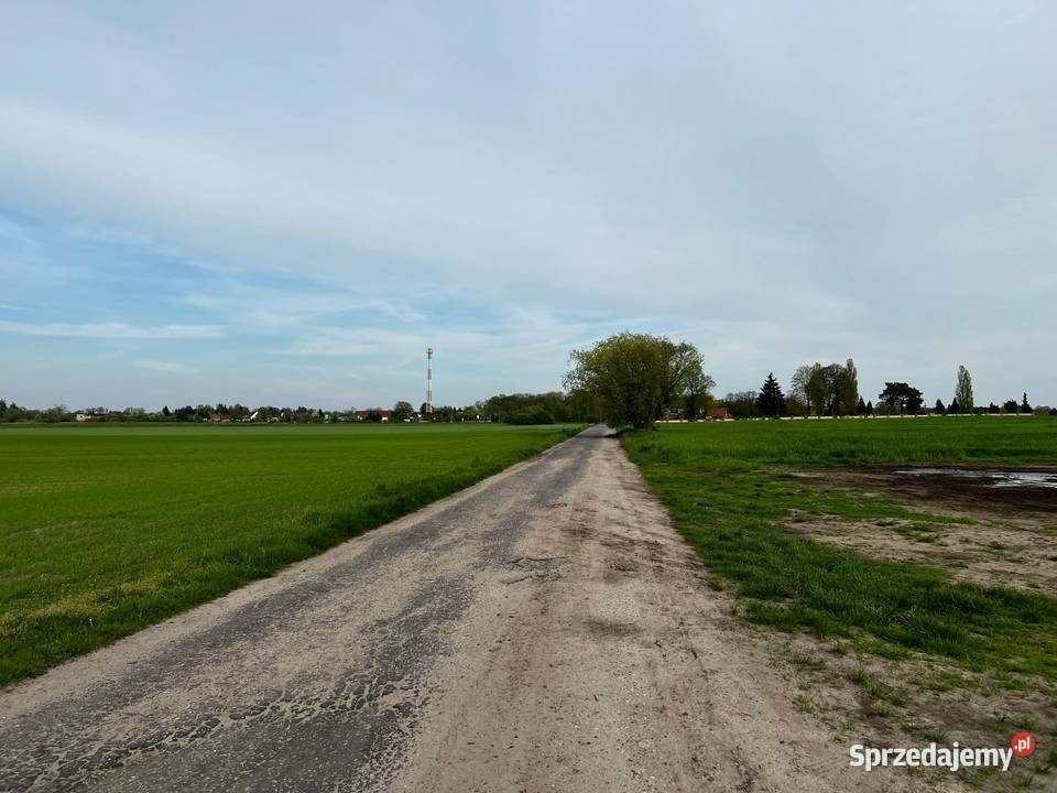 Działka drodze asfaltowej Kolsko sprzedam