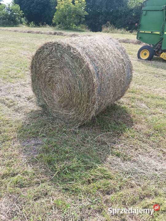 Siano z pierwszego pokosu 2025 Łęczna sprzedam