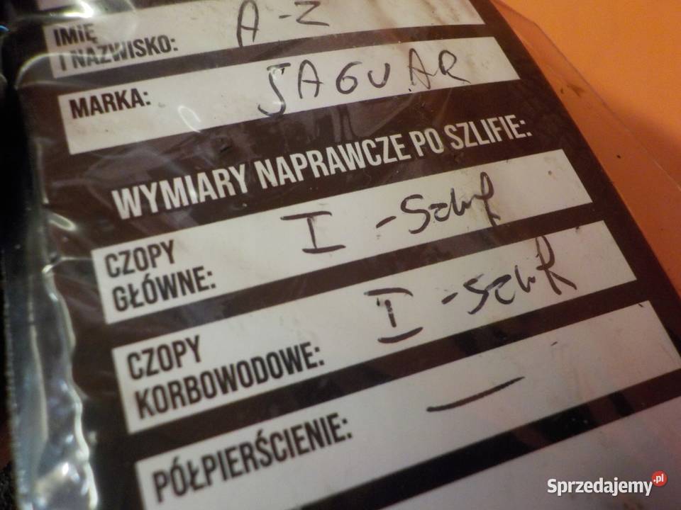 JAGUAR XF XJ DISCOVERY 27 TD V6 09r 207 7G wal Suków sprzedam