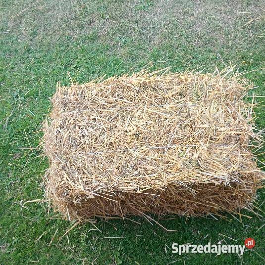 Słoma w kostkach świętokrzyskie Włoszczowa