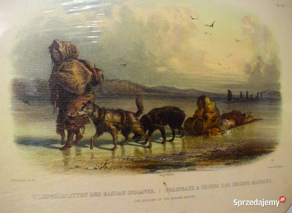 Historia Indian północnej Ameryki 4 reprodukcje Chełmno