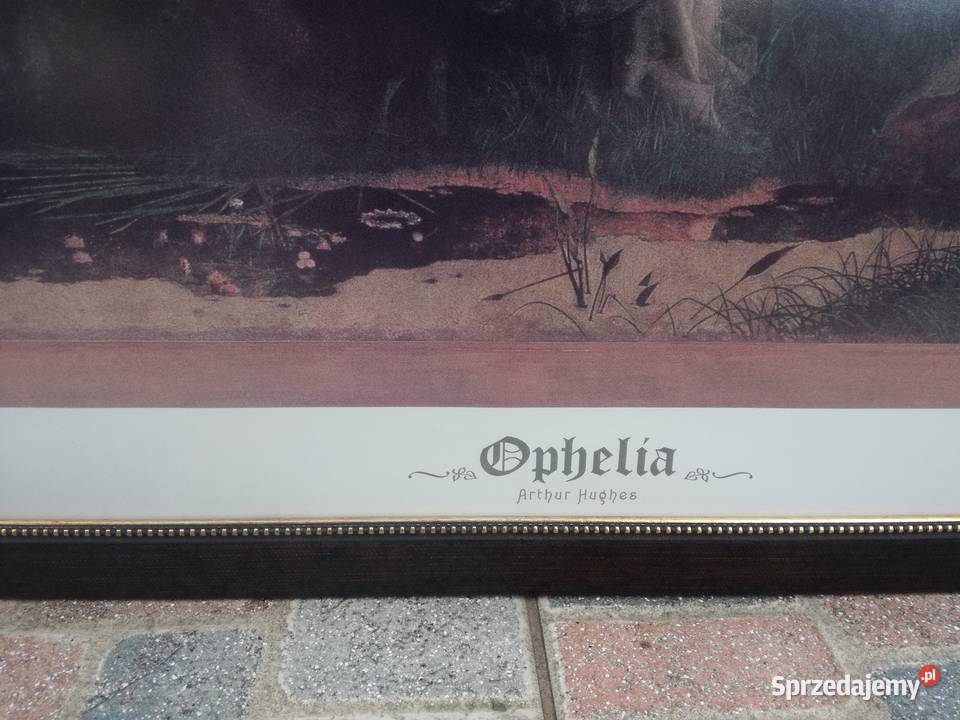 Piękna duża reprodukcja 3 98x68 ramy WWaterhouse