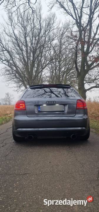 Audi A3 8P 20TDI DSG Stargard