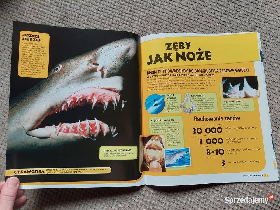 National Geographic Kids Wszystko o rekinach Kraków