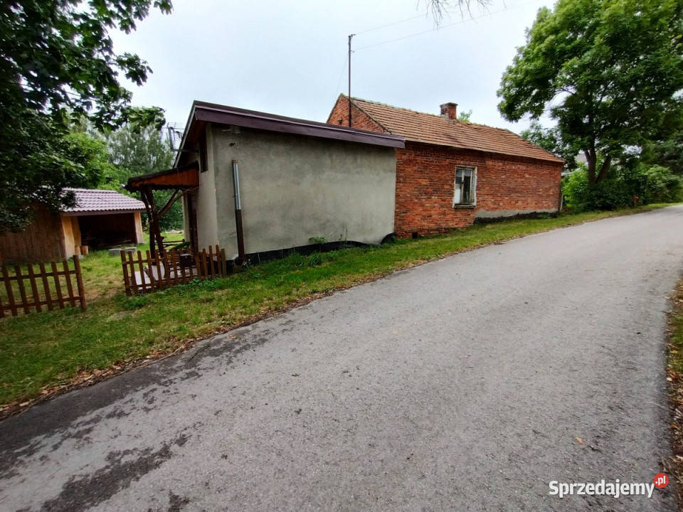 sprzedaży gruntu 2950 metrów Lisów sprzedam