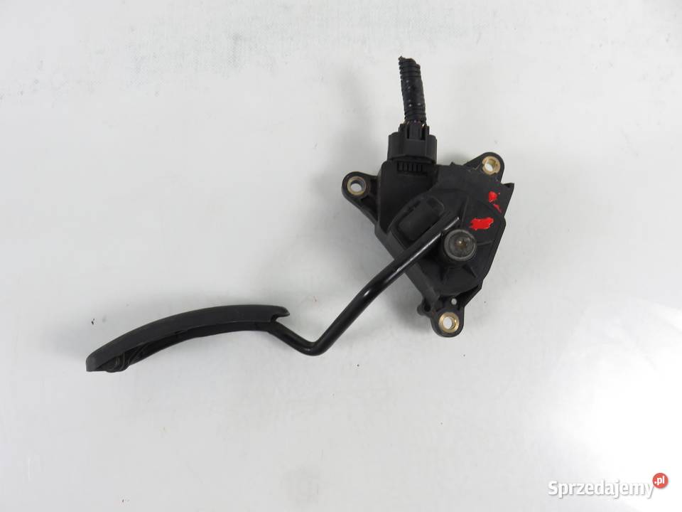 POTENCJOMETR GAZU RENAULT SCENIC II 15 dCi 19