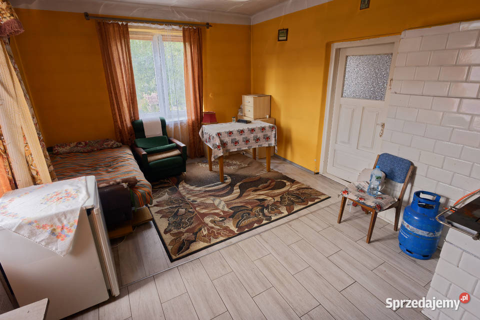 Sprzedam dom z siedliskiem 1024 m2 asfalt Pałecznica