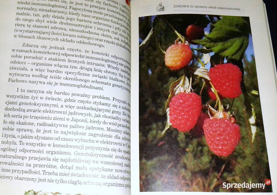 Ziołowa apteczka przeziębionych Zbigniew T Nowak