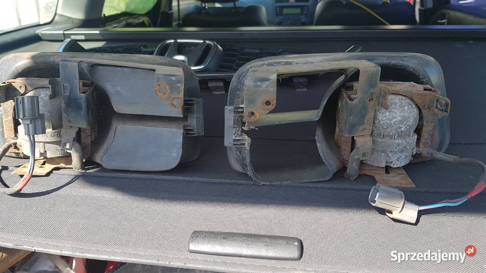 Halogen prawy lewy Honda Accord vii gen Diesel osobowe Szadek