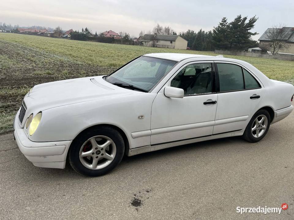 Skup Mercedesa diesel mazowieckie Ostrołęka