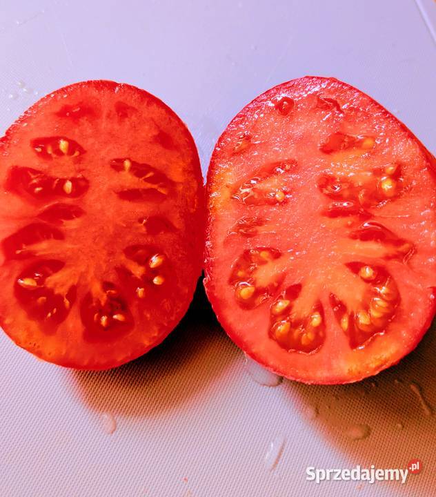 Bawole serce pomidor nasiona starej odmiany Kraków