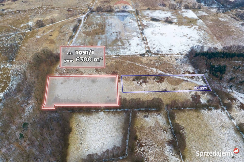 Działka rolna o pow 6300 m lubuskie Świdnica