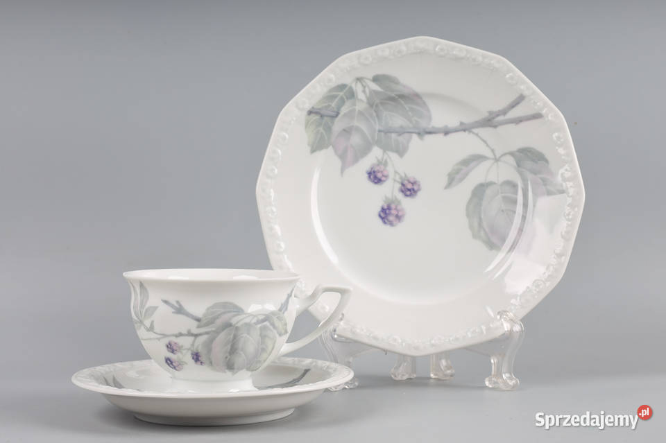 ARTexpert Rosenthal maria filiżanka jeżyna sprzedam