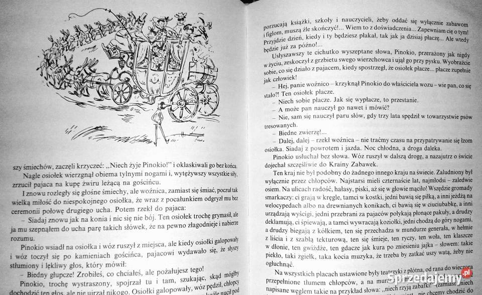 Pinokio Carlo Collodi Chełm sprzedam