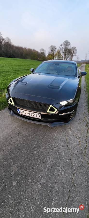 Ford Mustang 50 GT 450 koni Automat Mikołów