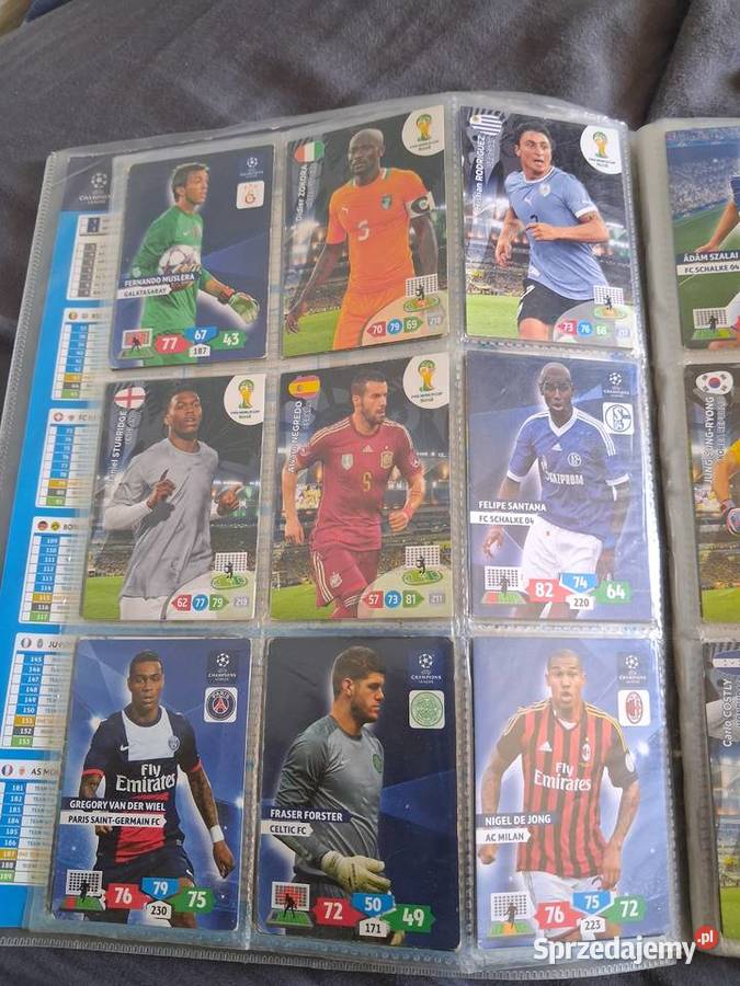 Wielka kolekcja kart Panini Adrenalyn XL wielkopolskie Poznań