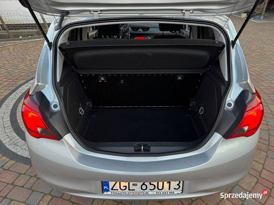 POLSKI SALON NIEWIELKI PRZEBIEG BEZWYPADKOWY zachodniopomorskie Szczecin