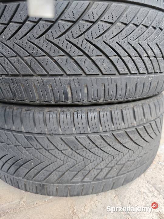 Opony wielosezonowe tecmac 22545r18