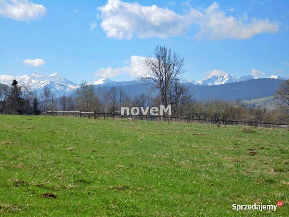 Działka Dzianisz 3447m2 sprzedam