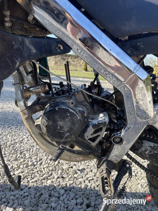 Derbi senda w ebs świętokrzyskie Kazimierza Wielka