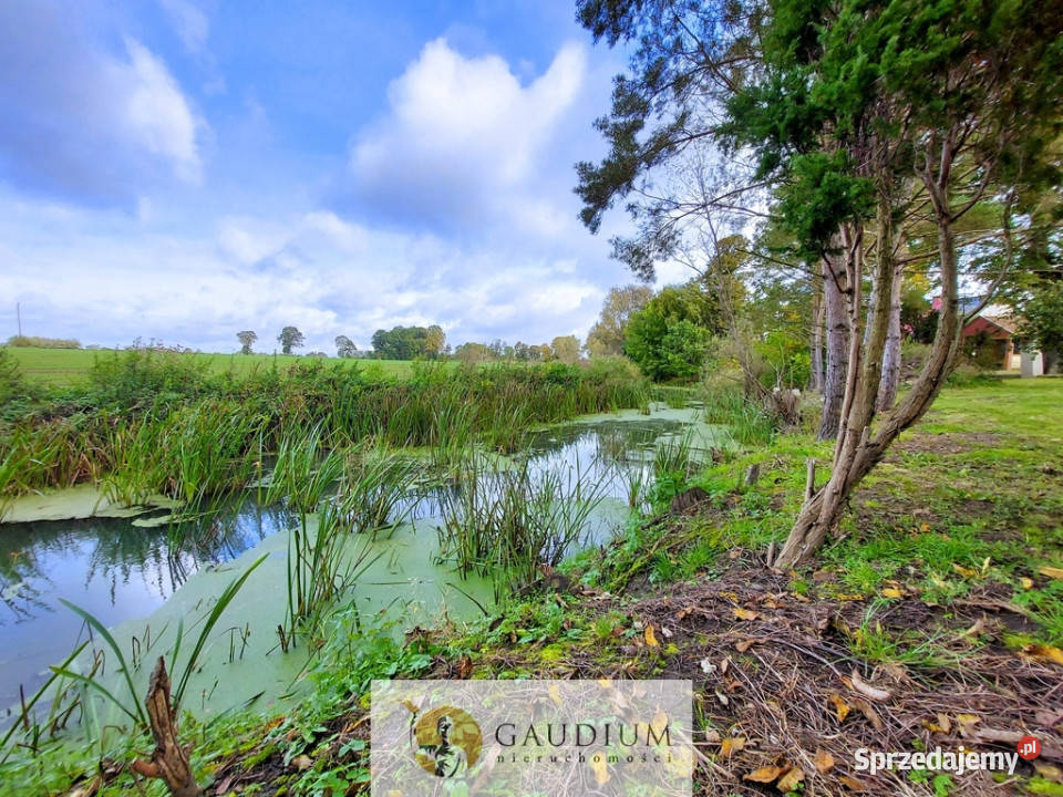 Domek rzeką z bajki Rok budowy 1960 Sprzedaż Tropiszewo